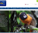 Ecuador Volunteer