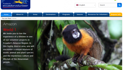 Ecuador Volunteer